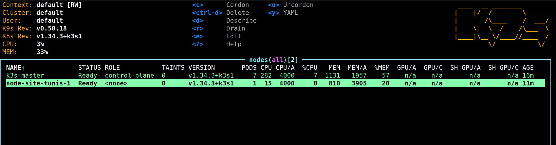 k9s showing cluster node status